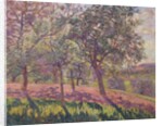 The Region of Saint Cheron, Springtime, c.1886 by Jean Baptiste Armand Guillaumin