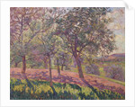 The Region of Saint Cheron, Springtime, c.1886 by Jean Baptiste Armand Guillaumin