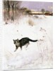 Cat Stalking over Snow, 1884 by Bruno Andreas Liljefors