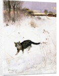 Cat Stalking over Snow, 1884 by Bruno Andreas Liljefors