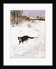 Cat Stalking over Snow, 1884 by Bruno Andreas Liljefors