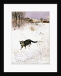 Cat Stalking over Snow, 1884 by Bruno Andreas Liljefors