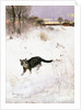 Cat Stalking over Snow, 1884 by Bruno Andreas Liljefors