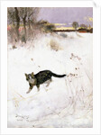 Cat Stalking over Snow, 1884 by Bruno Andreas Liljefors