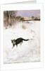 Cat Stalking over Snow, 1884 by Bruno Andreas Liljefors