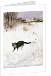 Cat Stalking over Snow, 1884 by Bruno Andreas Liljefors