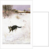 Cat Stalking over Snow, 1884 by Bruno Andreas Liljefors