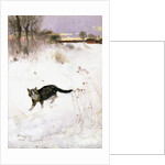 Cat Stalking over Snow, 1884 by Bruno Andreas Liljefors
