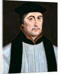 Portrait of Stephen Gardiner, Bishop of Winchester and Lord High Chancellor of England by English School