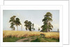 The Field of Wheat, 1878 by Ivan Ivanovich Shishkin