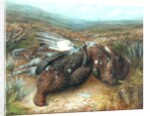 Dead Grouse in Landscape by Unknown Artist