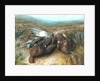 Dead Grouse in Landscape by Unknown Artist