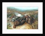 Dead Grouse in Landscape by Unknown Artist
