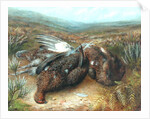 Dead Grouse in Landscape by Unknown Artist