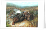 Dead Grouse in Landscape by Unknown Artist