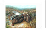 Dead Grouse in Landscape by Unknown Artist