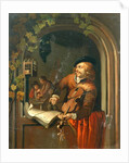 The Violin Player by Unknown Artist