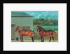 Two Horses in Harness, c.1910 by Unknown Artist