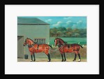 Two Horses in Harness, c.1910 by Unknown Artist