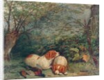 Dogs and Pheasant, 1840 by Richard Ansdell