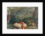 Dogs and Pheasant, 1840 by Richard Ansdell