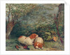 Dogs and Pheasant, 1840 by Richard Ansdell