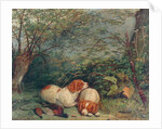Dogs and Pheasant, 1840 by Richard Ansdell