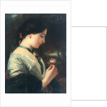 An English Rose by Charles Baxter