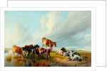 A Group of Cattle, 1877 by Thomas Sidney Cooper