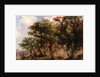 Landscape, 1805-21 by John (attr.to) Crome