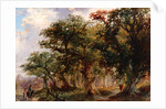 Landscape, 1805-21 by John (attr.to) Crome