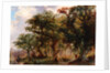 Landscape, 1805-21 by John (attr.to) Crome