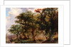 Landscape, 1805-21 by John (attr.to) Crome