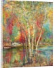 Silver Birches, c.1929 by Mary Ella Williams Dignam