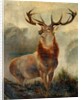 Stag At Bay by James Ford
