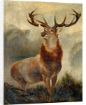 Stag At Bay by James Ford