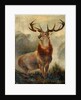 Stag At Bay by James Ford