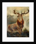 Stag At Bay by James Ford
