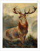 Stag At Bay by James Ford