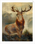Stag At Bay by James Ford