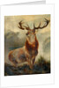 Stag At Bay by James Ford