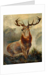 Stag At Bay by James Ford