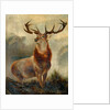 Stag At Bay by James Ford