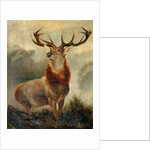Stag At Bay by James Ford