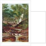 Cat Holes Dam Fall in Todmorden, 1870 by John Holland