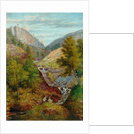 Rattan Clough, Burnley Valley by John Holland