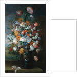 Flowers, Studies with Irises, 1682 by Jan van Huysum