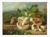 Still Life With Mushrooms Etc., 1859 by Unknown Artist