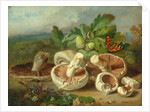 Still Life With Mushrooms Etc., 1859 by Unknown Artist