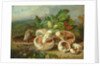 Still Life With Mushrooms Etc., 1859 by Unknown Artist